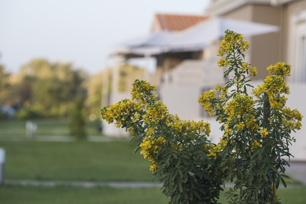 Casa Di Varco Frinion